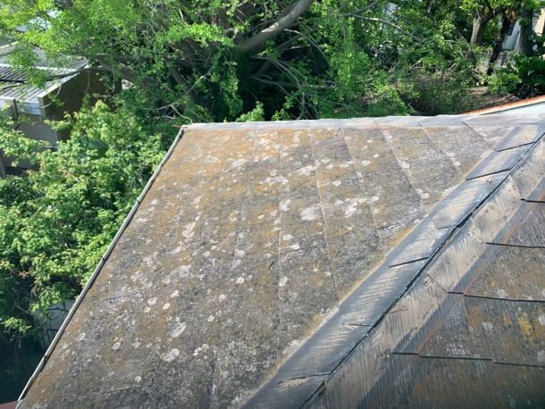 【横浜市中区】台風被災、スレート・コロニアル屋根、棟板金の交換修理工事の事例３