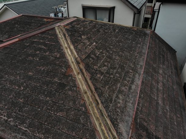屋根にコケやカビが発生している屋根の画像