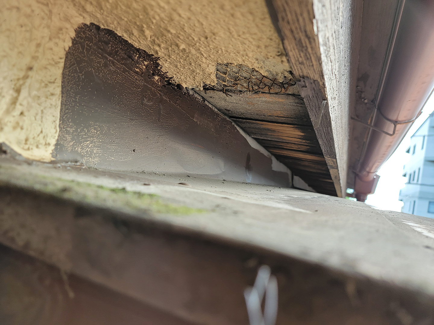 【東京都目黒区】２階の窓枠からの雨漏りで、屋根点検の事例 (散水調査なし)　板金庇屋根　雨漏り