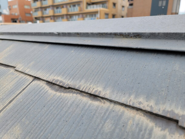 スレート屋根災害予防パック　屋根にあがって点検
