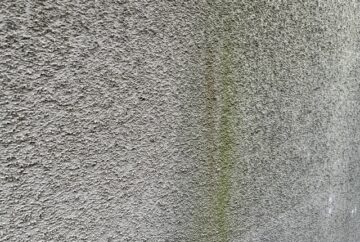 外壁 藻