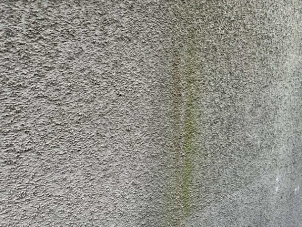 外壁　藻